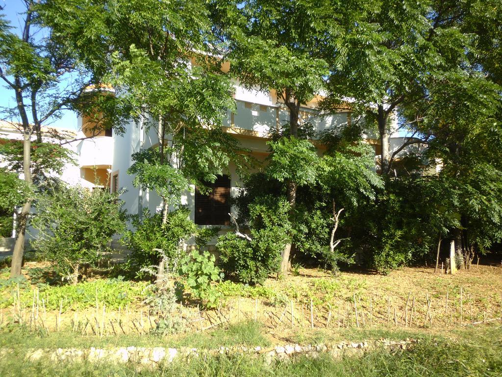 Apartments Kresimir Beauty With Shadow Trees And Parking Place パグ 部屋 写真